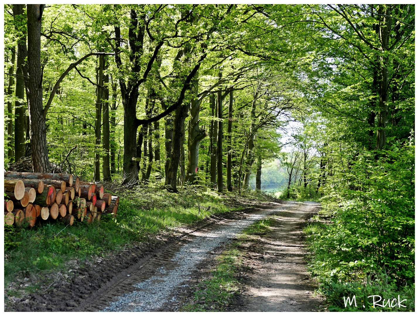 Unterwegs am 1 ten Mai  24