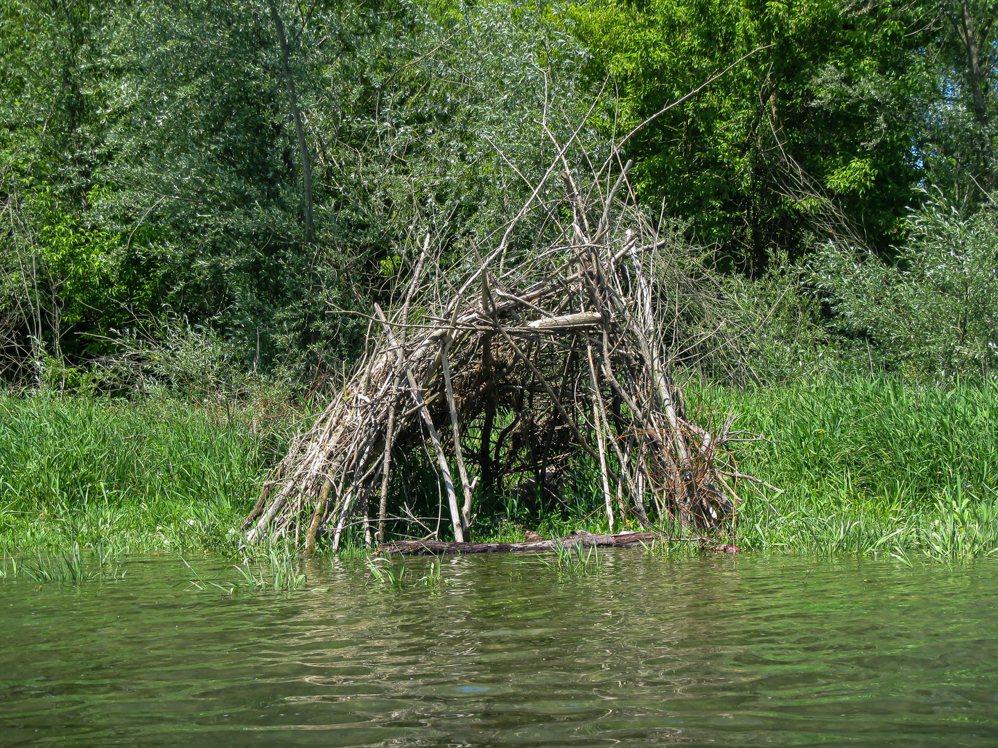 Unterwegs am Altarm der Donau 