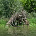 Unterwegs am Altarm der Donau 