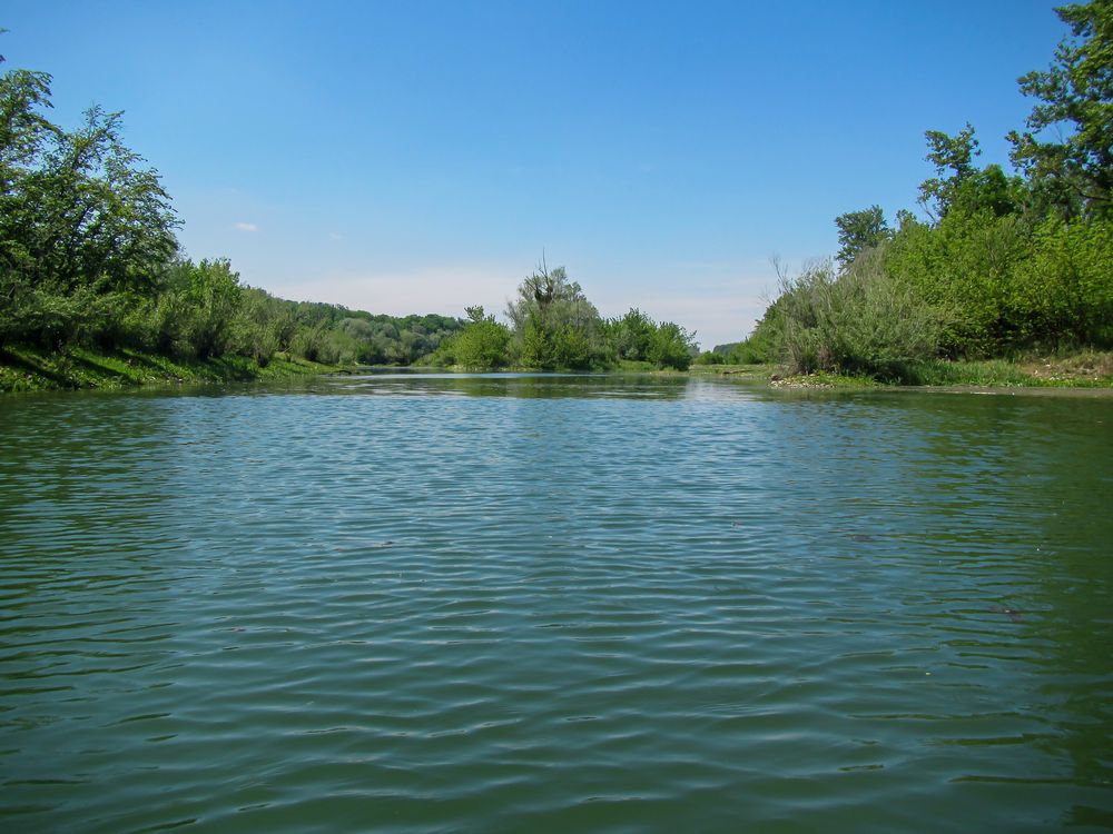 Unterwegs am Altarm der Donau 