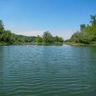 Unterwegs am Altarm der Donau 