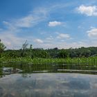 Unterwegs am Altarm der Donau 