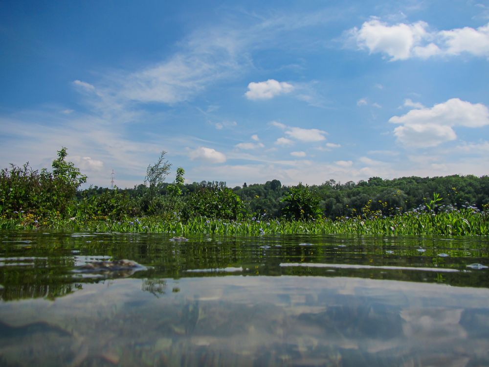 Unterwegs am Altarm der Donau 