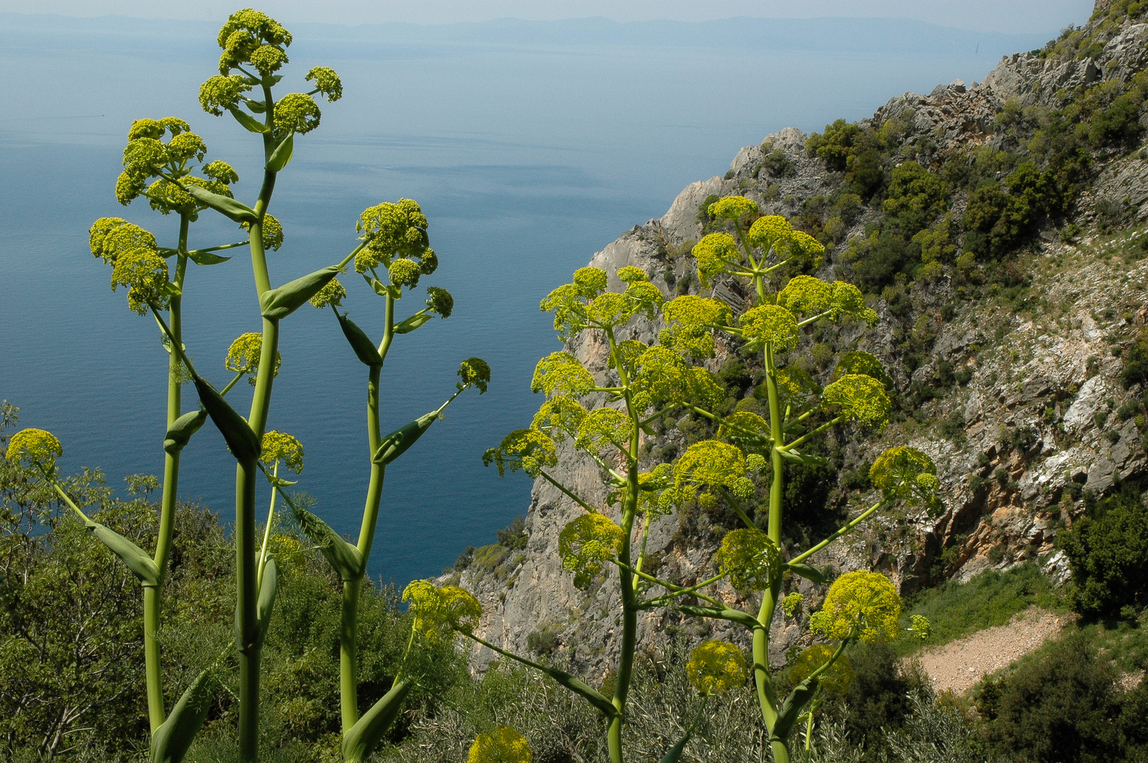 unterwegs am berg athos