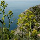 unterwegs am berg athos