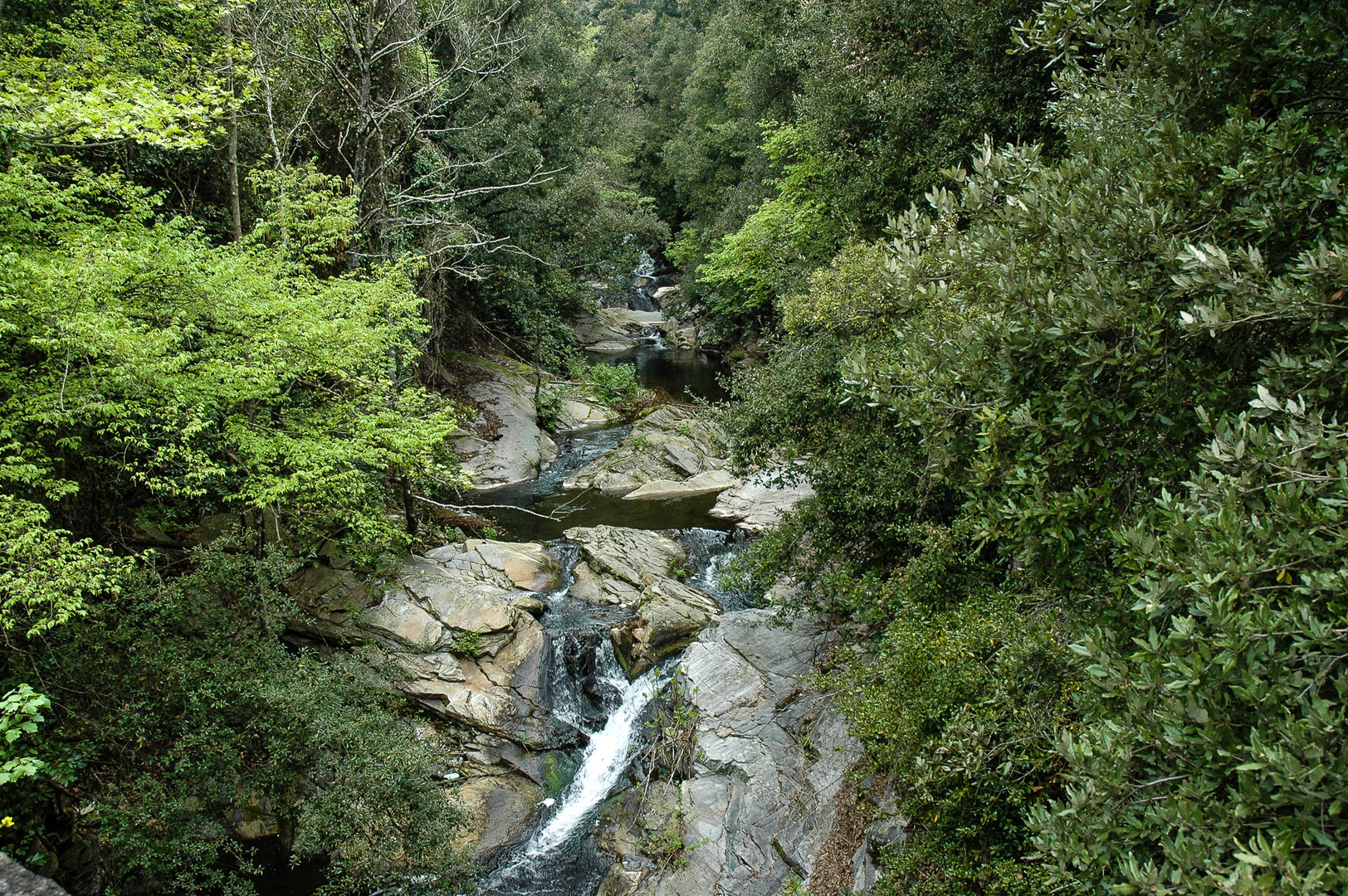 unterwegs am berg athos II