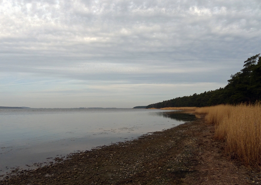 Unterwegs am Bodden