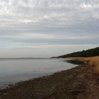 Unterwegs am Bodden