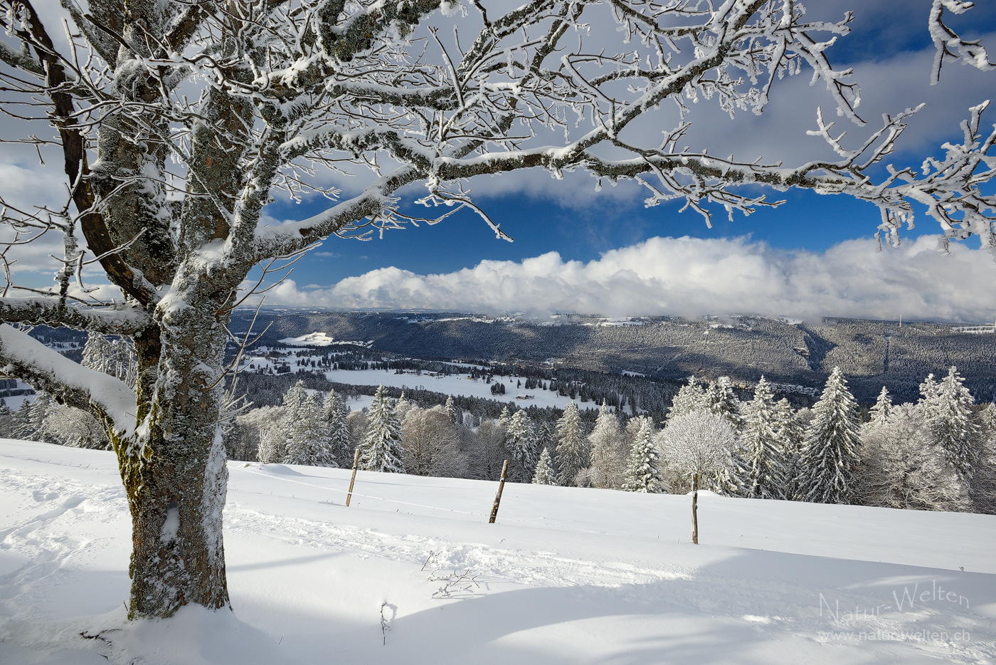 Unterwegs am Chasseral