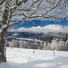 Unterwegs am Chasseral