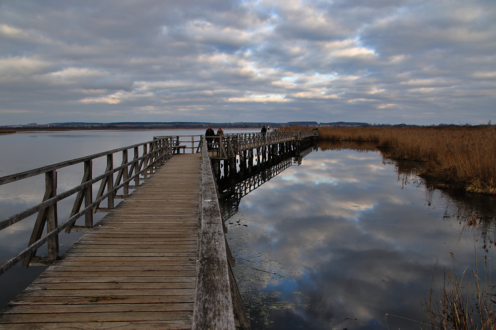 unterwegs am Federsee