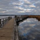 unterwegs am Federsee