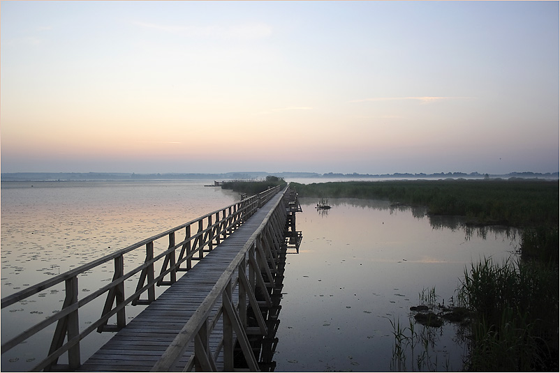 unterwegs am Federsee