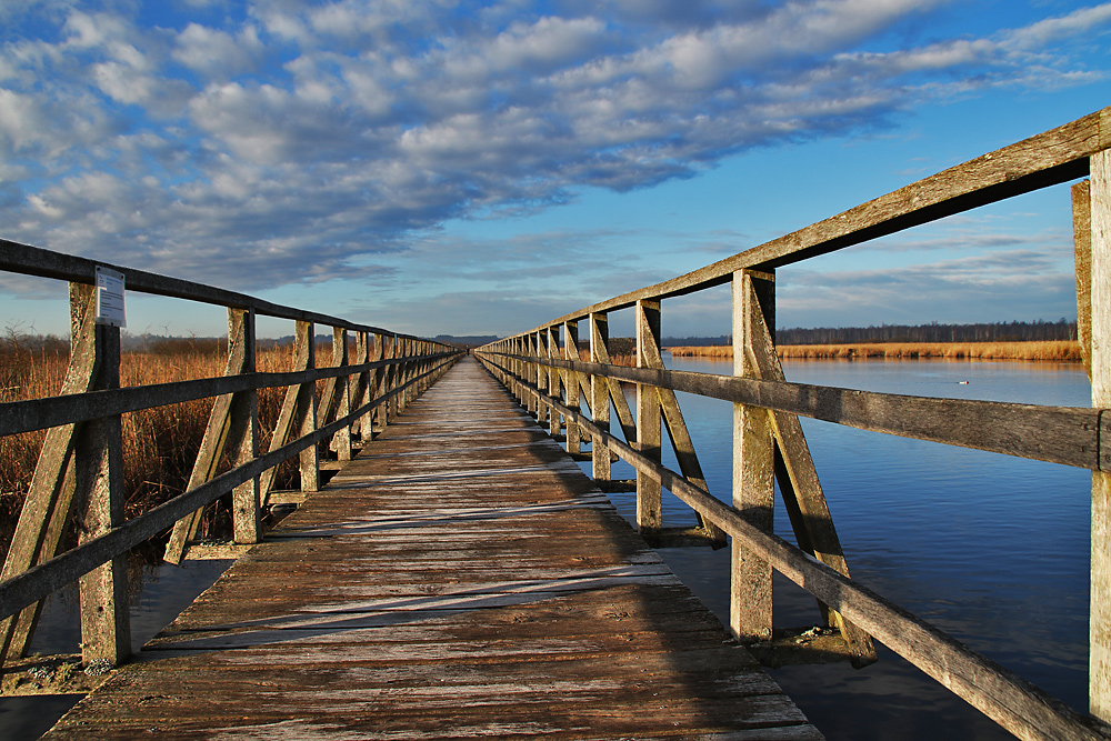 unterwegs am Federsee