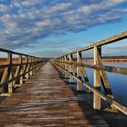 unterwegs am Federsee