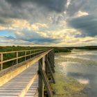 Unterwegs am Federsee