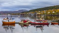 unterwegs am fjord