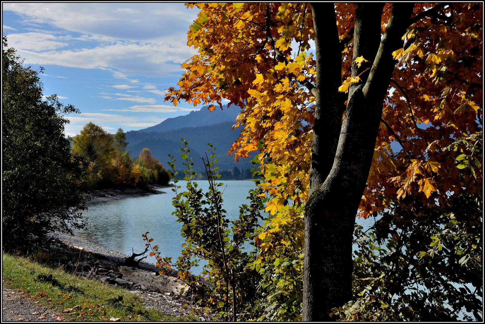 unterwegs am Forggensee / Allgäu