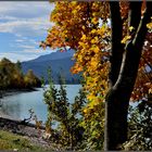 unterwegs am Forggensee / Allgäu