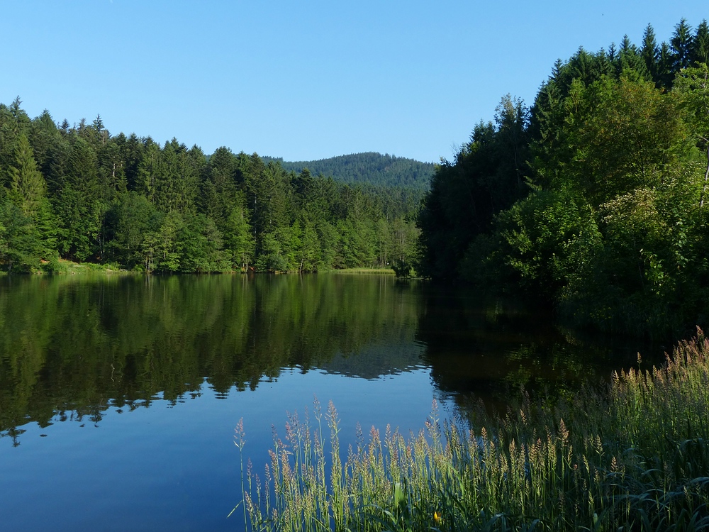 Unterwegs am Freudensee