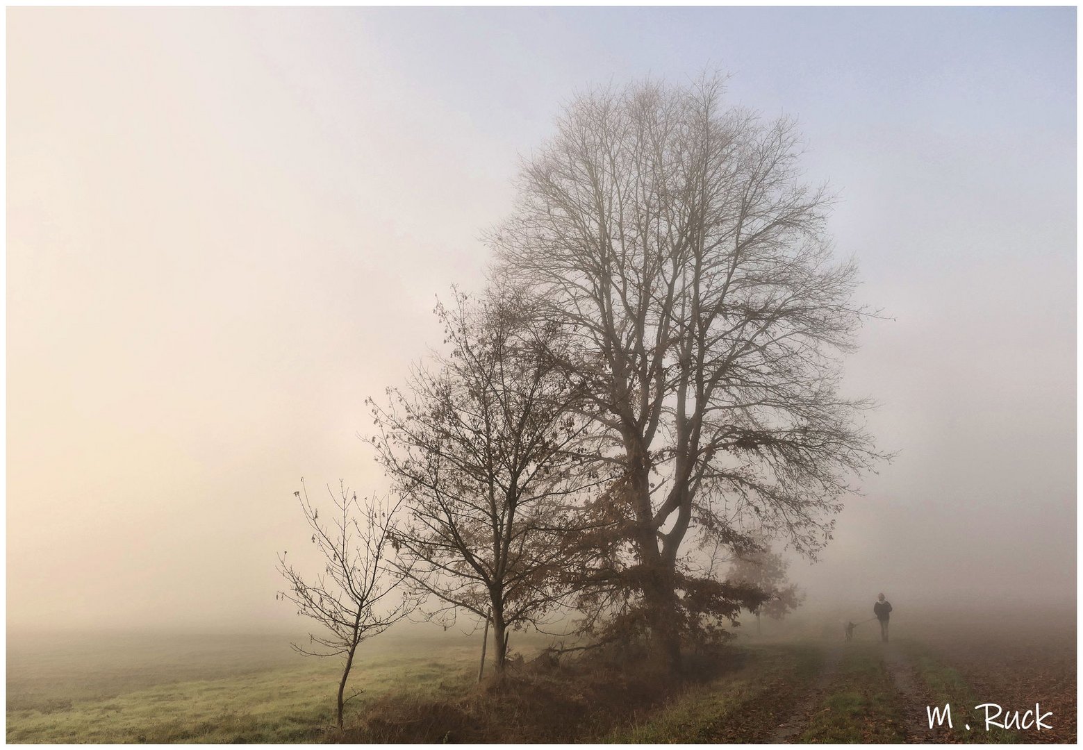 Unterwegs am frühen morgen ,