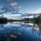 unterwegs am Großen Werder bei Meinersen (6)