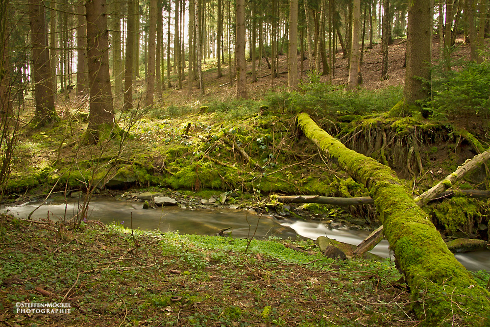 Unterwegs am Holzbach nahe Weißensand