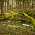 Unterwegs am Holzbach nahe Weißensand