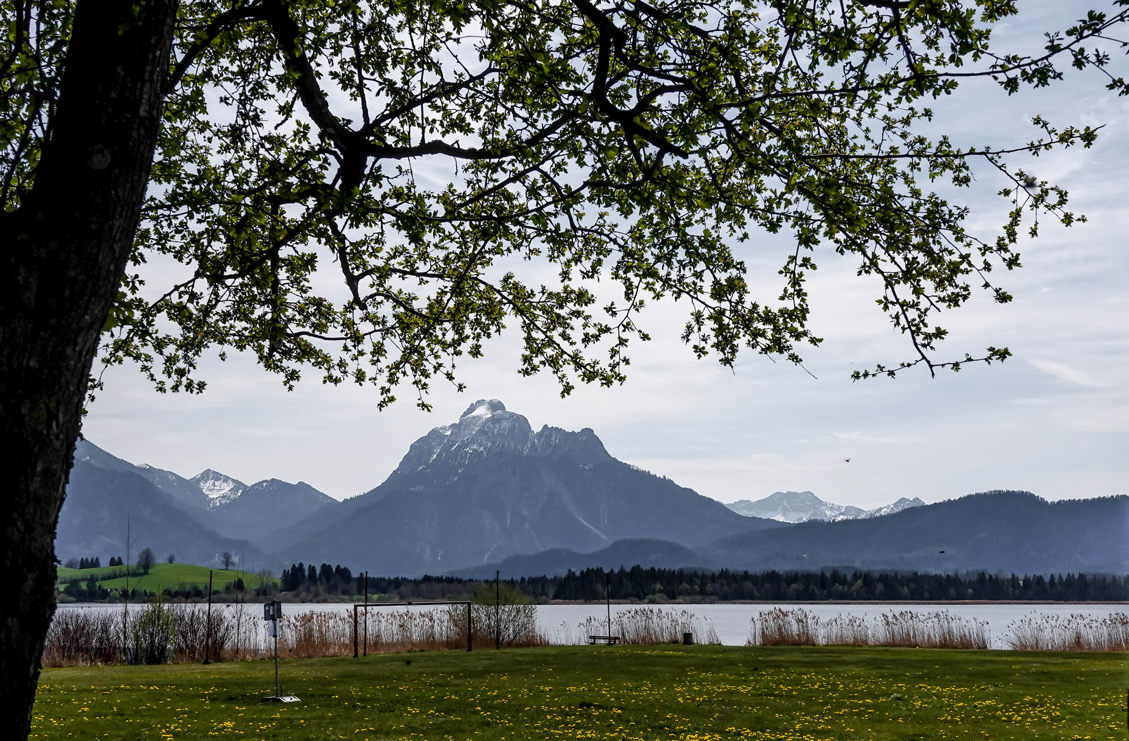 Unterwegs am Hopfensee / Ostallgäu (1)