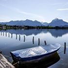 Unterwegs am Hopfensee / Ostallgäu (3)