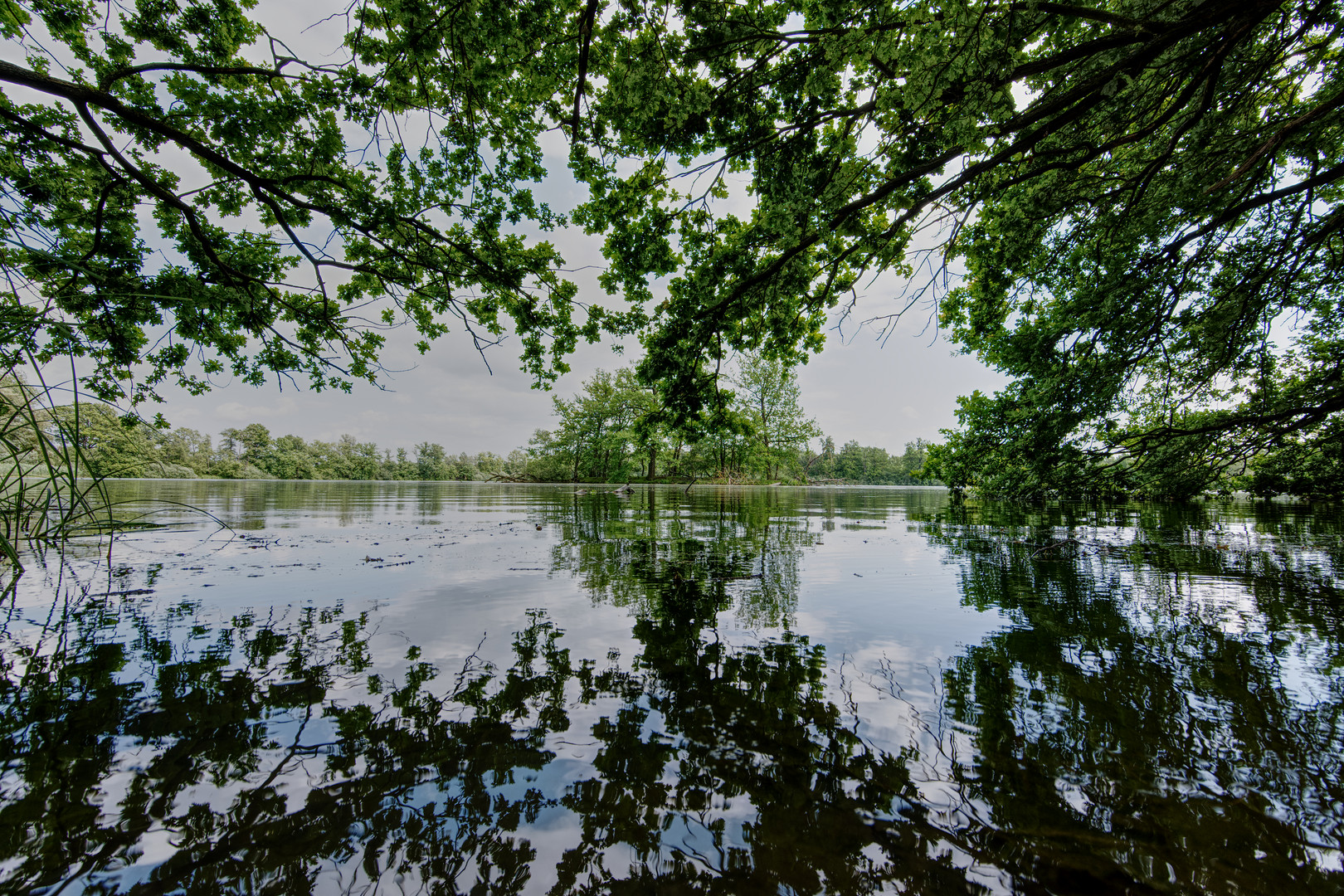 unterwegs am Kreuzteich (6)