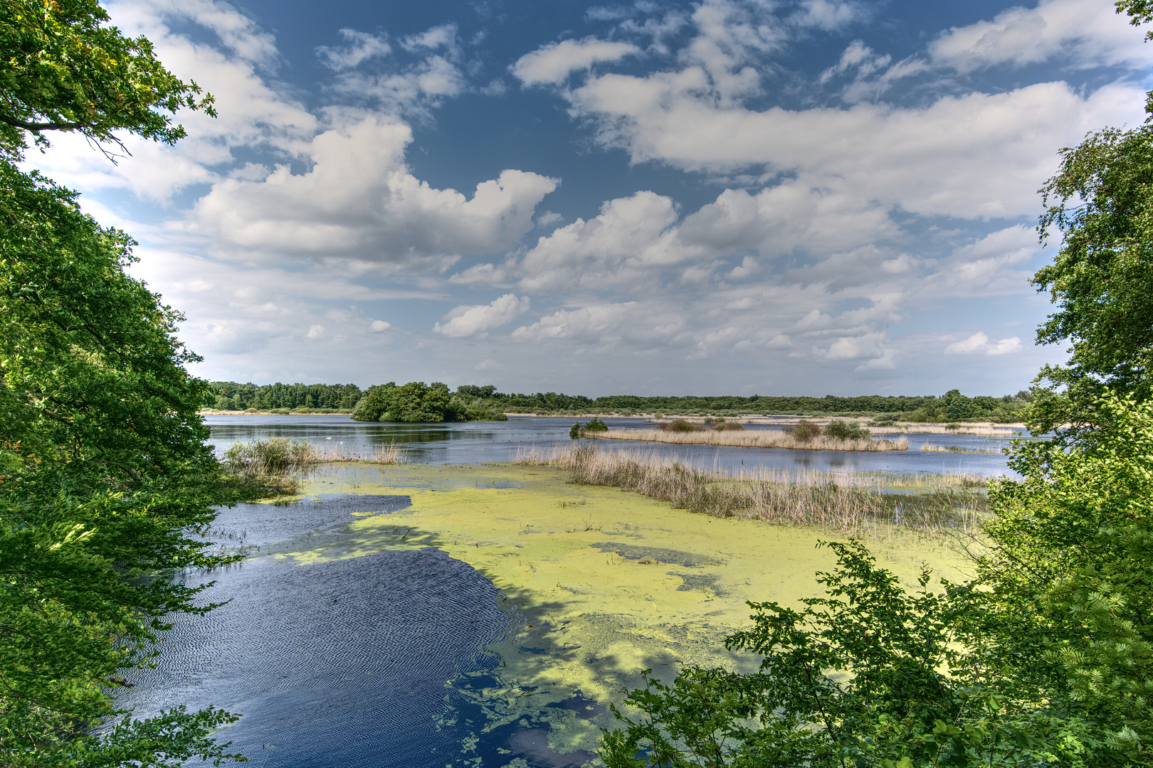 unterwegs am Kreuzteich (7)