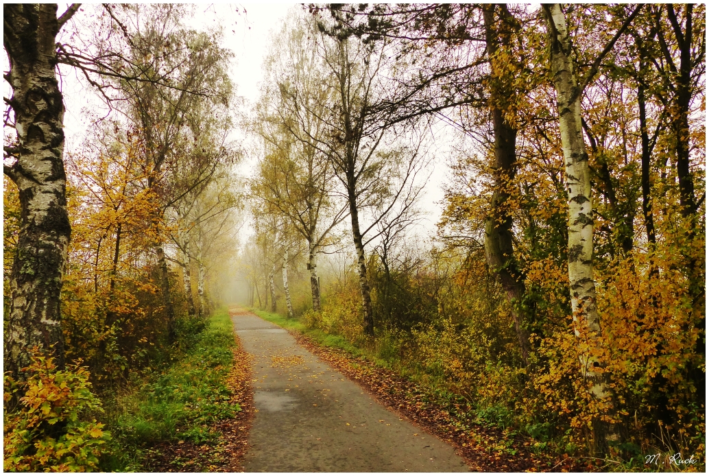 Unterwegs am Main- Wanderweg ,