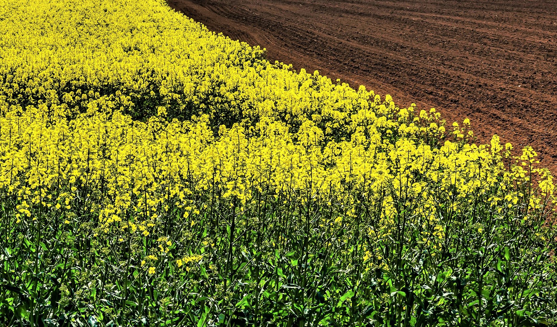 Unterwegs am Niederrhein (16)