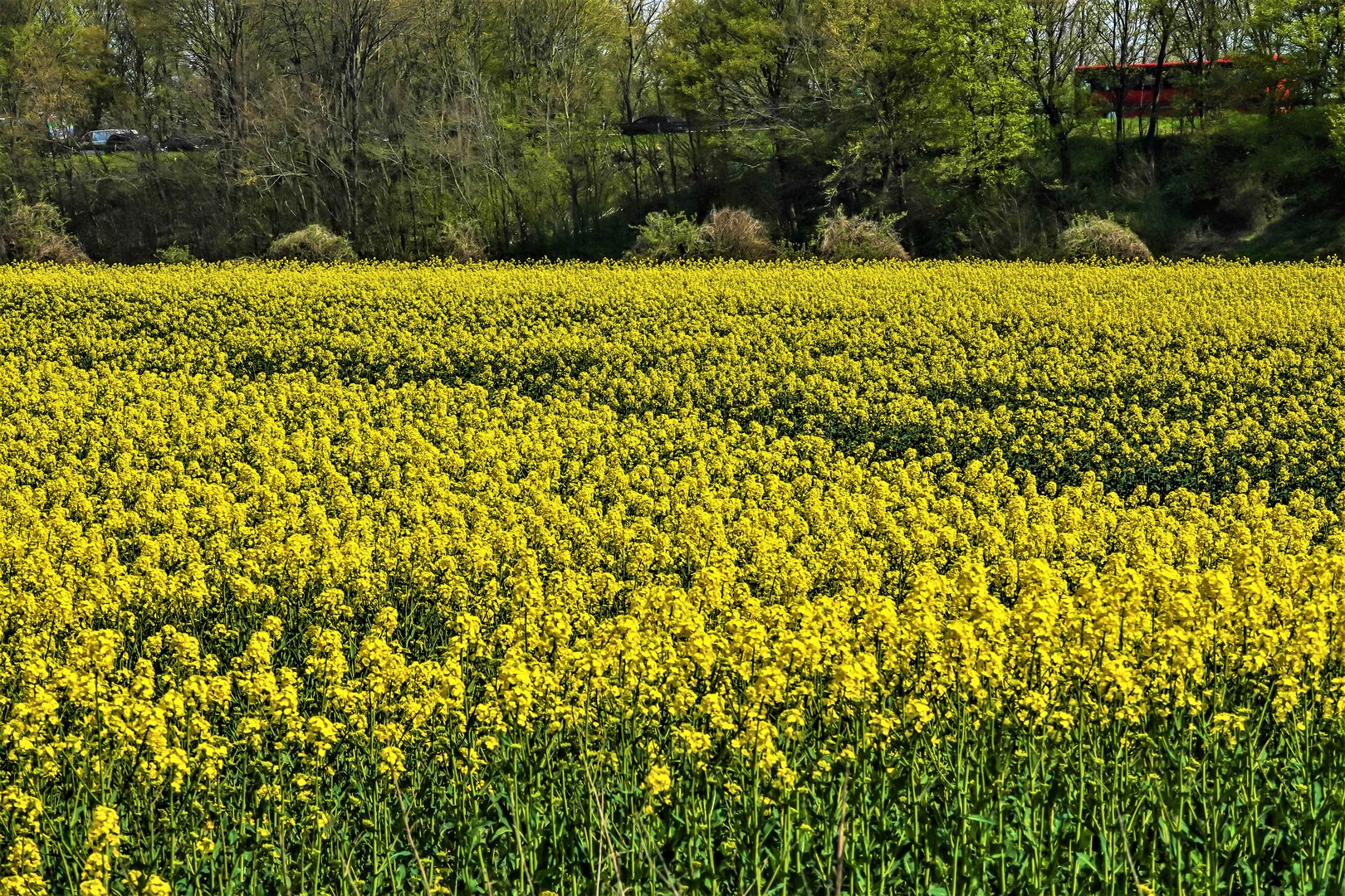 Unterwegs am Niederrhein (17)