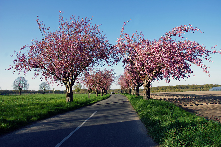 unterwegs am Niederrhein