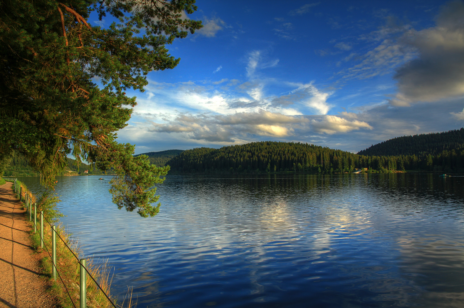 Unterwegs am Schluchsee