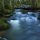 Unterwegs am Waldbach 2