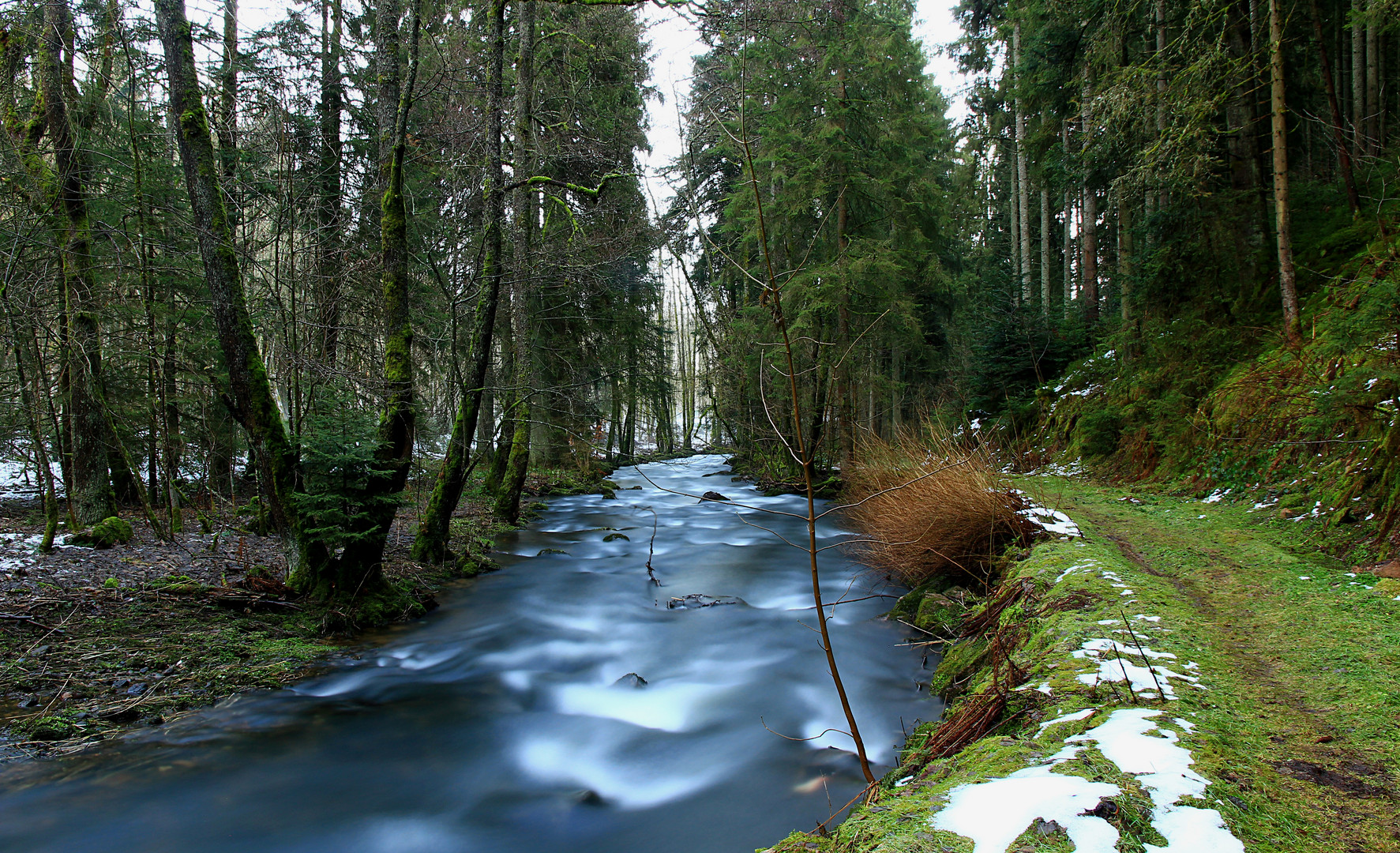 Unterwegs am Waldbach