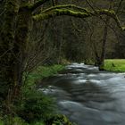 Unterwegs am Waldbach