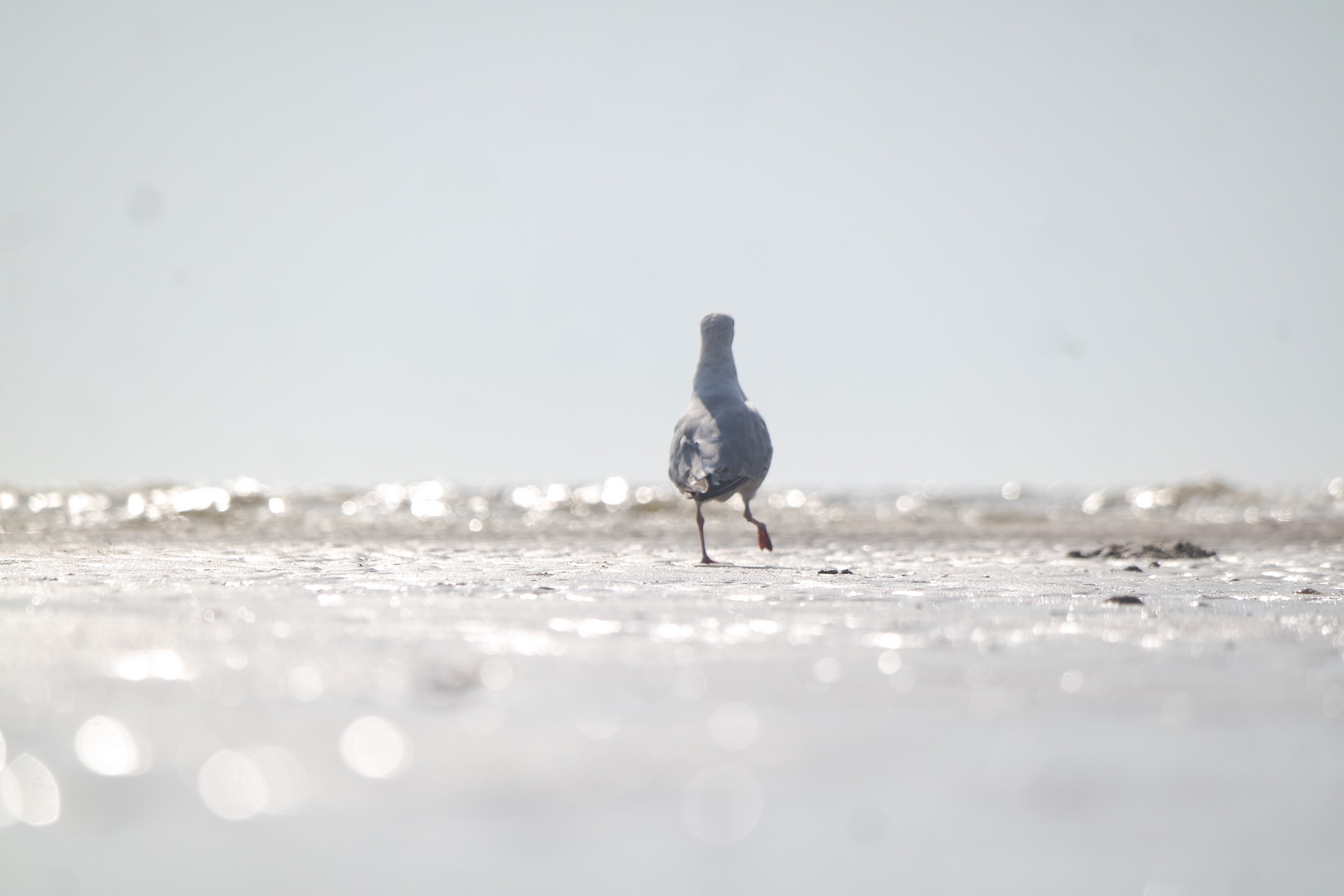 Unterwegs am Wasser