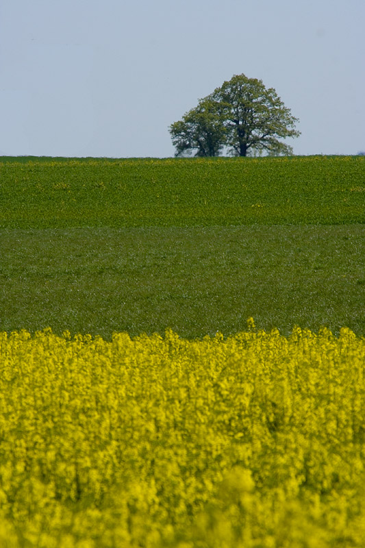 Unterwegs am Wegesrand ***