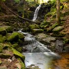 Unterwegs am Windbergwasserfall in St.Blasien