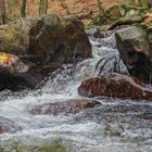 Unterwegs an den Ilsefällen (1)