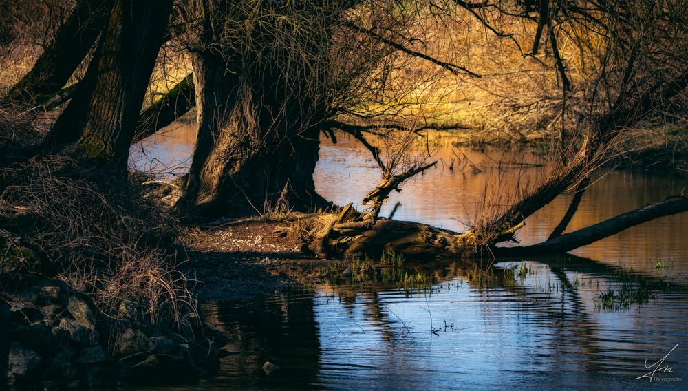 Unterwegs an der Donau bei Winzer