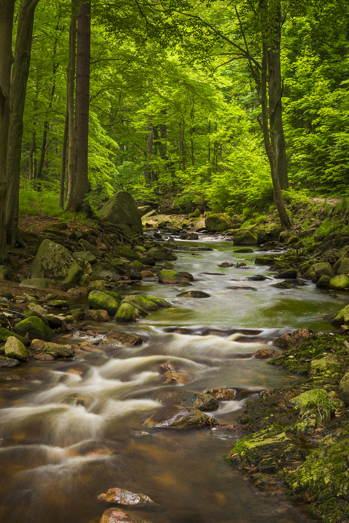 Unterwegs an der Ilse im Harz