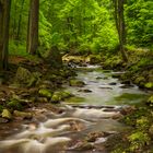 Unterwegs an der Ilse im Harz