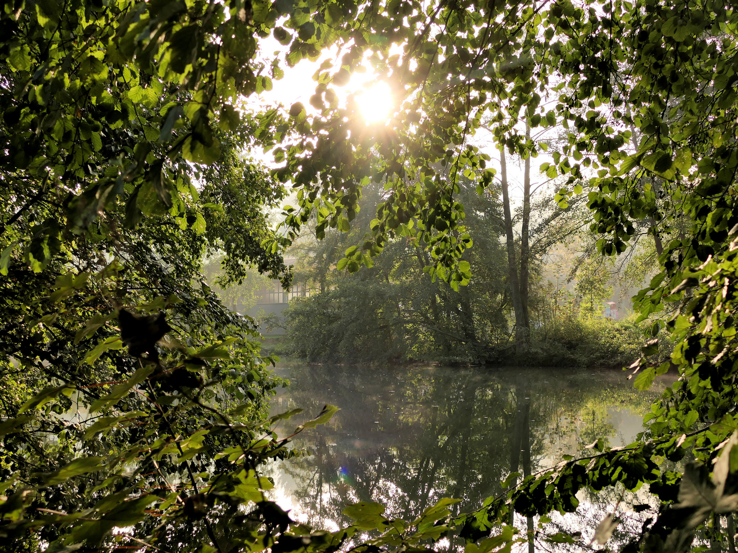 Unterwegs an der Tauber ,