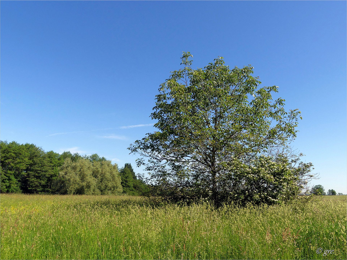 Unterwegs an einem Sommertag *