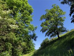 Unterwegs an einem Sommertag****